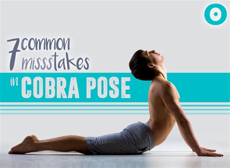 melissas pose attracts black cobra|how to pose for cobra.